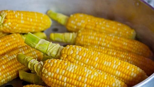 Stabilan cenovni nivo kukuruza i pad cene soje